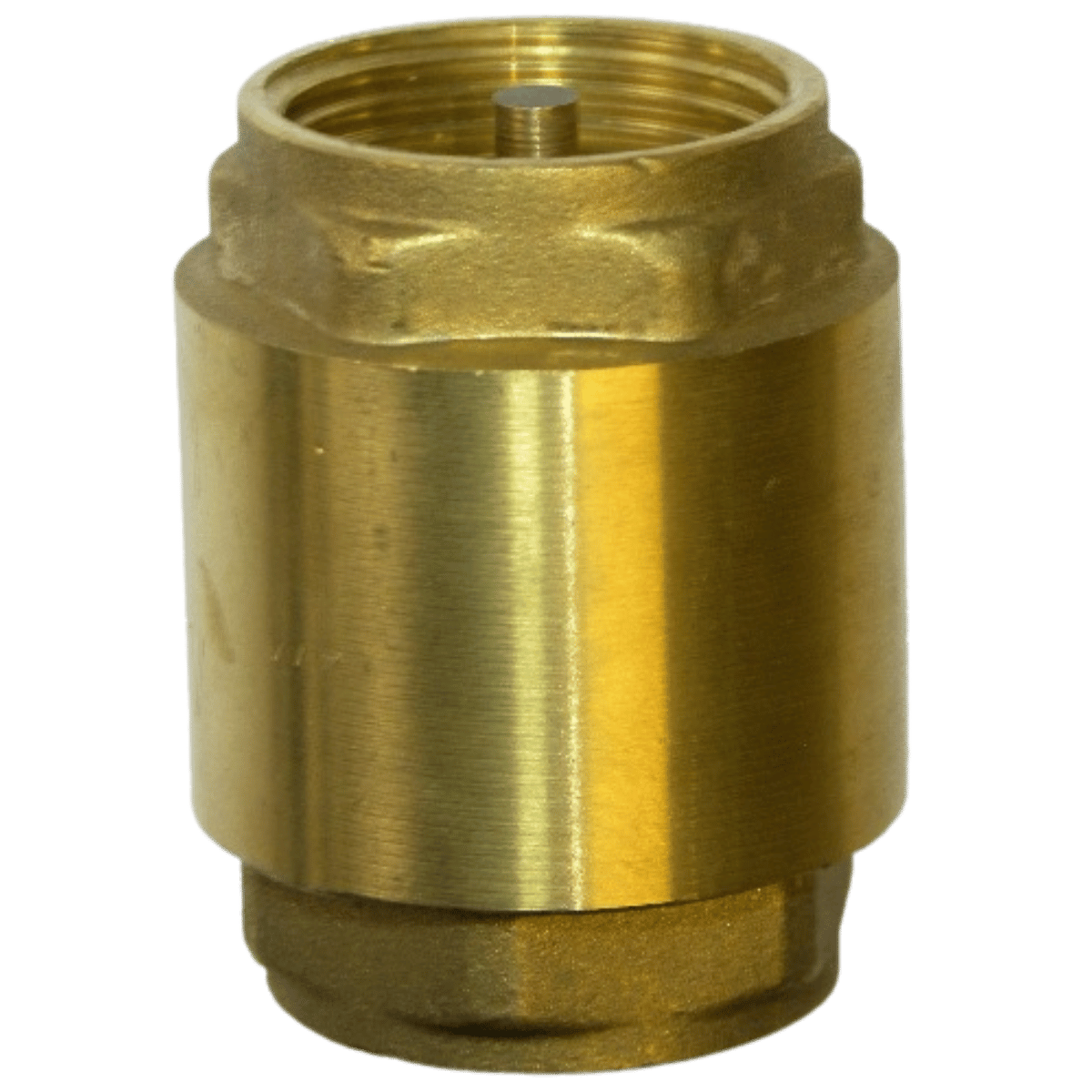 Brass Spring Check Valve - 80mm Brass