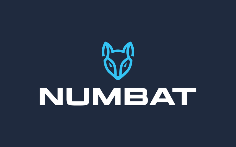 numbat