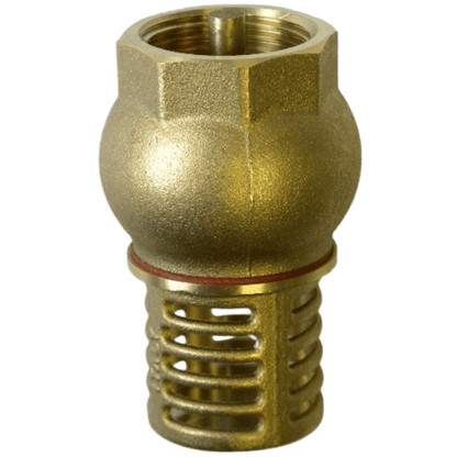 80mm Brass Foot Valve