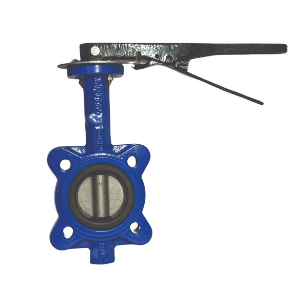 100mm Lugged Butterfly Valve Table E