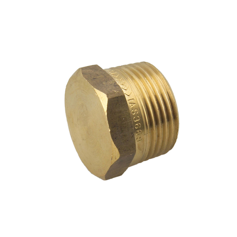 Brass plumbing fitting on a white background