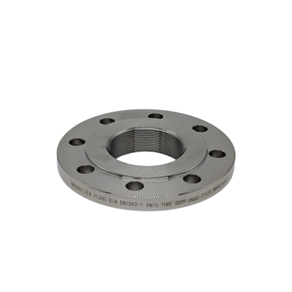 3" DIN PN25 Stainless Steel BSP Threaded Flange