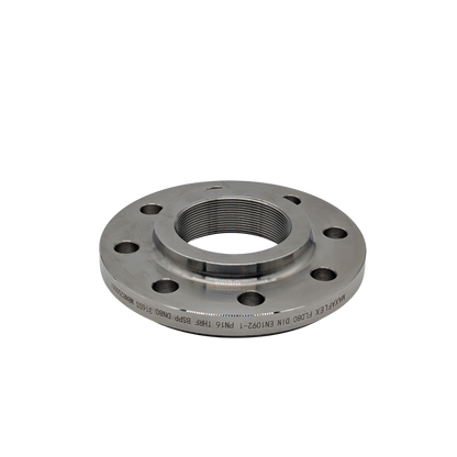 3" DIN PN25 Stainless Steel BSP Threaded Flange