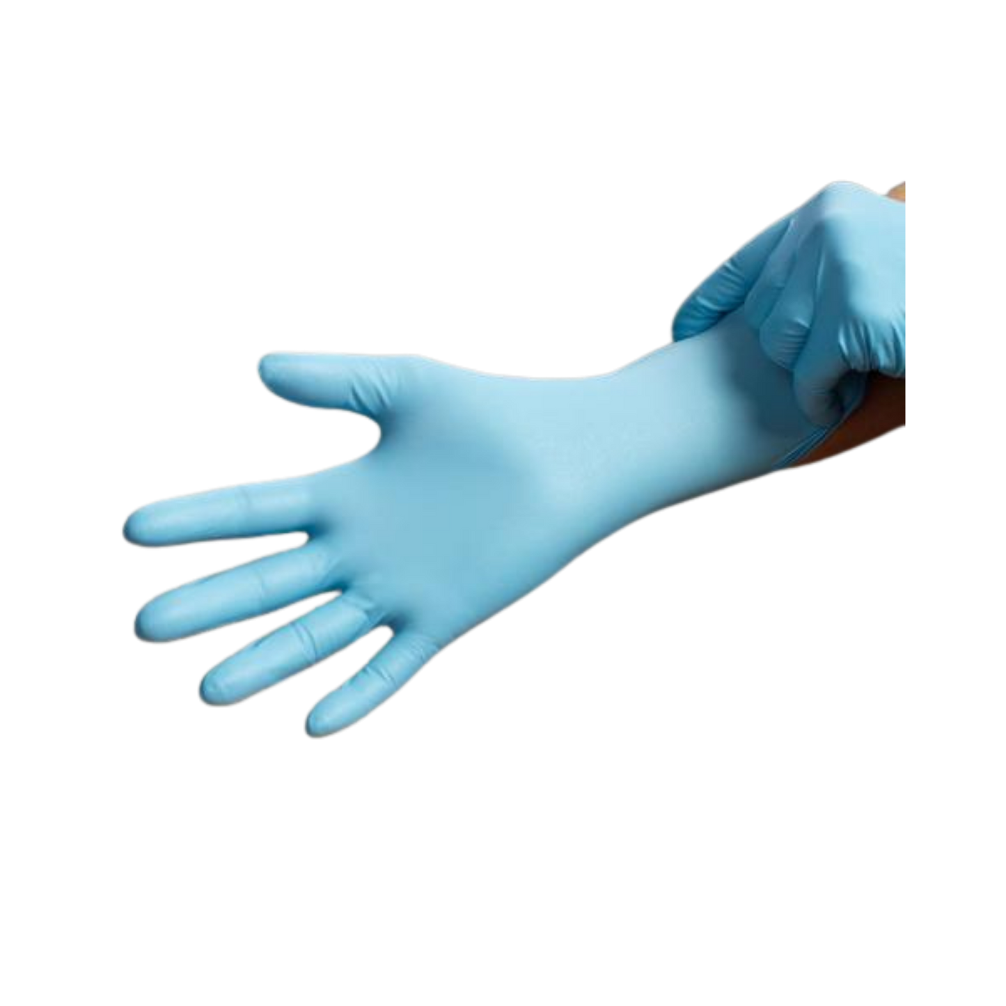 Disposable Gloves