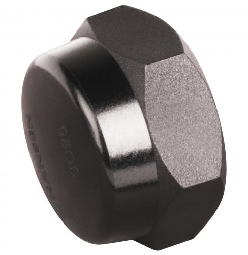 1" (25mm) Poly Cap