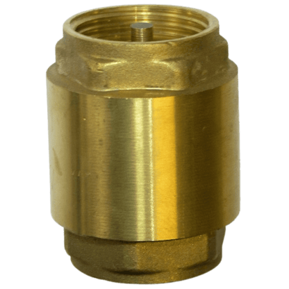 Brass Spring Check Valve - 80mm Brass