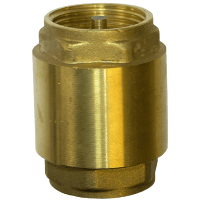 Brass Spring Check Valve - 80mm Brass