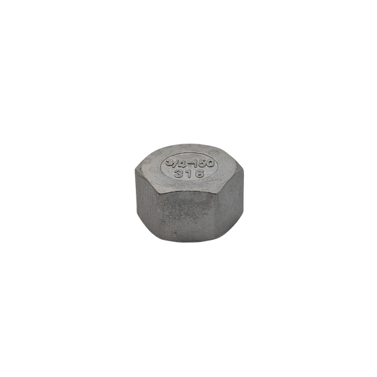 316SS 20mm (3/4") Threaded SS End Cap