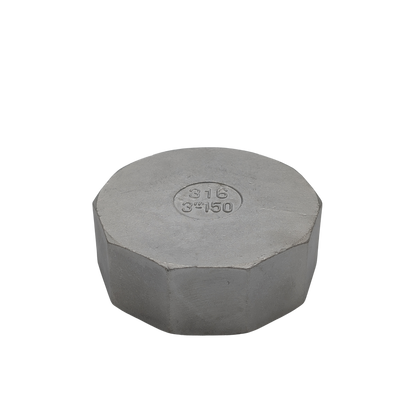 80mm (3”) Threaded SS End Cap