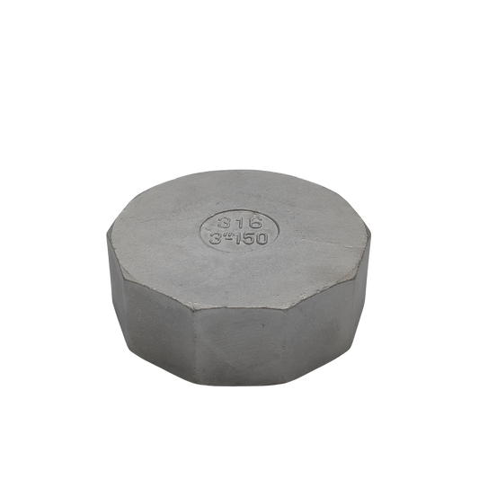 80mm (3”) Threaded SS End Cap
