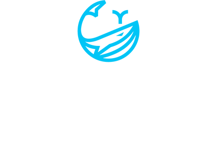 Southern Pumping